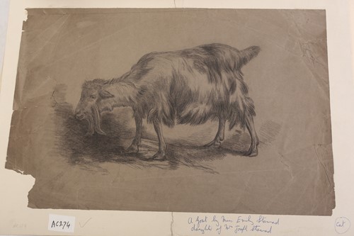 Lot 104 - Emily Stannard (1827-1894) [daughter of Joseph...