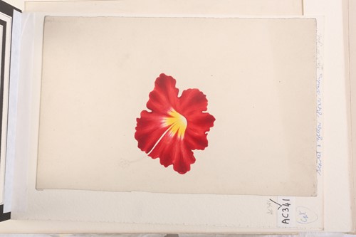 Lot 104 - Emily Stannard (1827-1894) [daughter of Joseph...