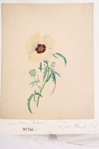 Lot 104 - Emily Stannard (1827-1894) [daughter of Joseph...