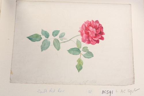 Lot 104 - Emily Stannard (1827-1894) [daughter of Joseph...