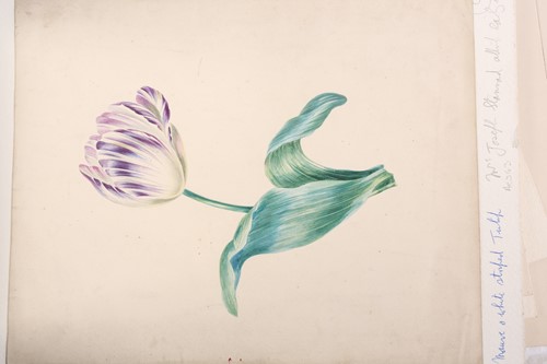Lot 104 - Emily Stannard (1827-1894) [daughter of Joseph...