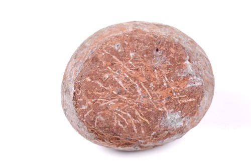 Lot 298 - A fossilised dinosaur egg, in a red stone base,...