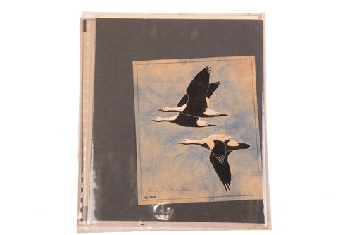 Lot 243 - Sir Peter Markham Scott (1909-1989), CH, CBE,...