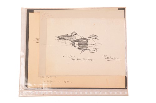 Lot 243 - Sir Peter Markham Scott (1909-1989), CH, CBE,...