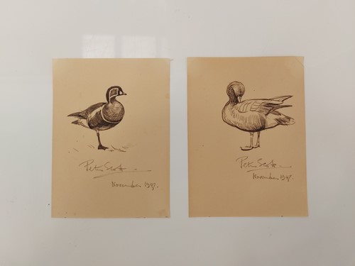 Lot 243 - Sir Peter Markham Scott (1909-1989), CH, CBE,...