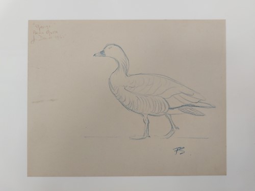 Lot 243 - Sir Peter Markham Scott (1909-1989), CH, CBE,...