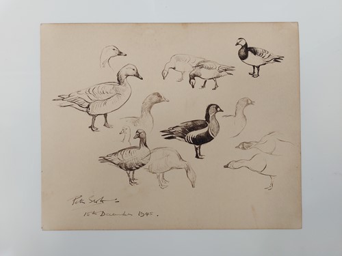 Lot 243 - Sir Peter Markham Scott (1909-1989), CH, CBE,...