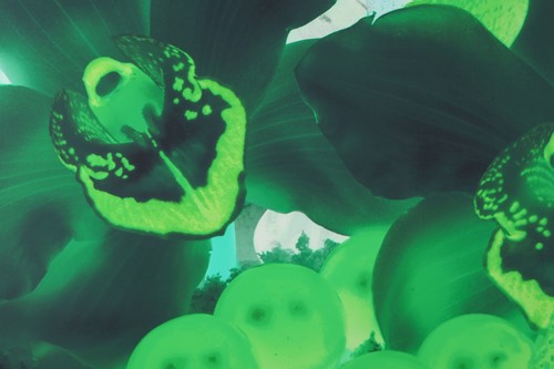 Lot 68 - Marc Quinn (b. 1964), 'At the Far Edges of the...