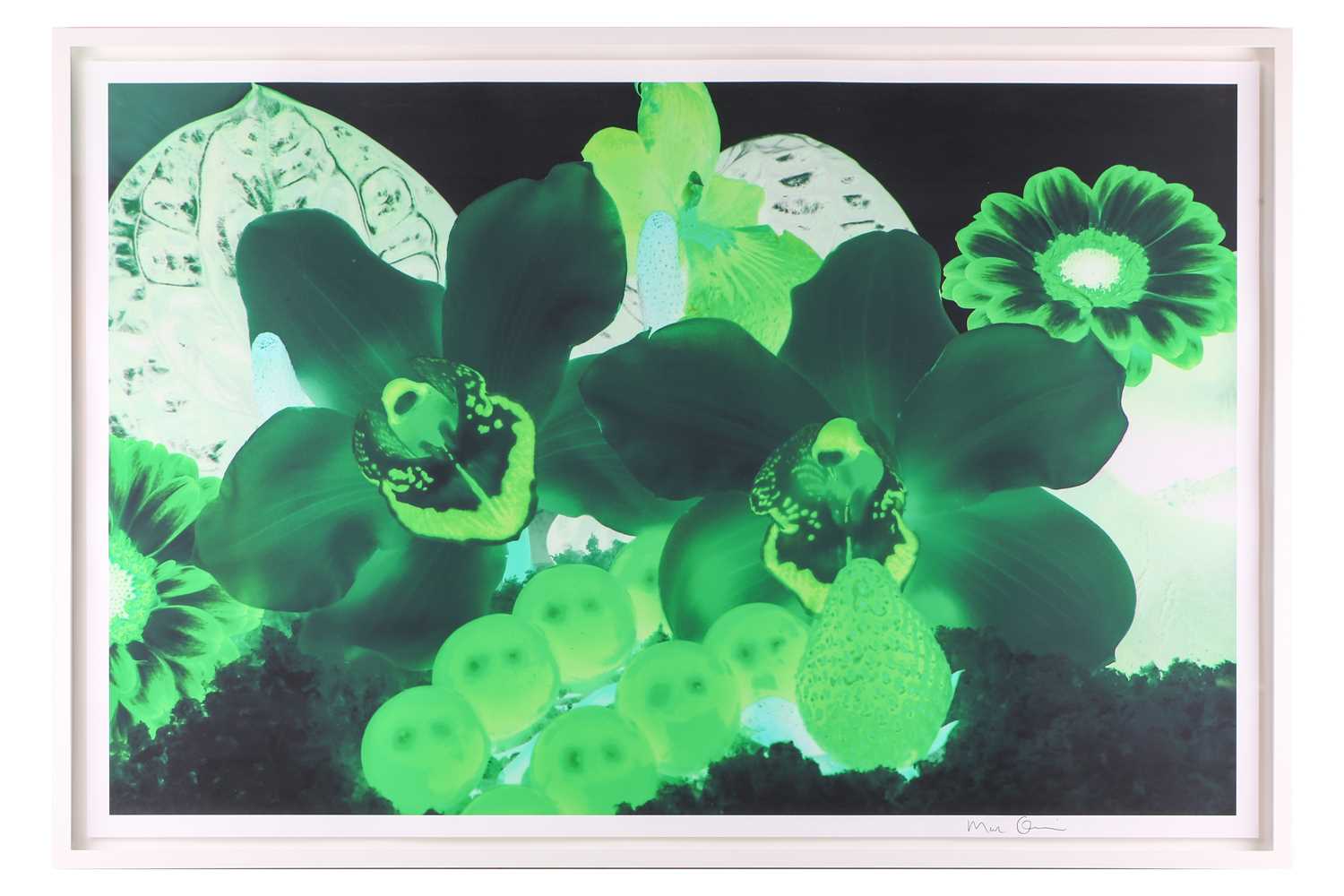 Lot 68 - Marc Quinn (b. 1964), 'At the Far Edges of the...