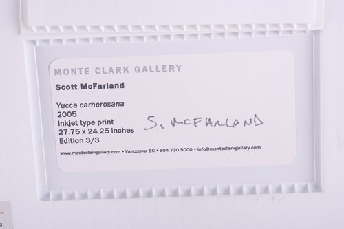 Lot 65 - Scott McFarland (b. 1975) Canadian, Yucca...