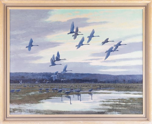 Lot 17 - Peter Scott (1909 - 1989), Whooper swans over...