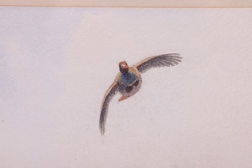 Lot 24 - John Cyril Harrison (1898-1985), Partridge...