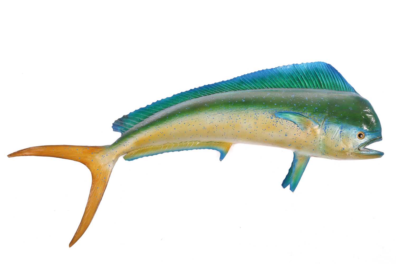 Lot 164 - Taxidermy: a large, professionally worked...