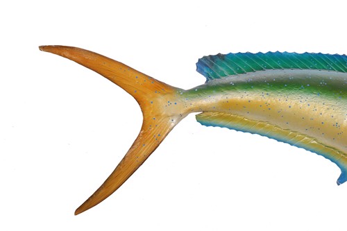 Lot 164 - Taxidermy: a large, professionally worked...