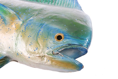Lot 164 - Taxidermy: a large, professionally worked...