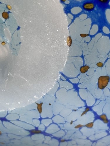 Lot 88 - A contemporary art glass sculptural vase,...