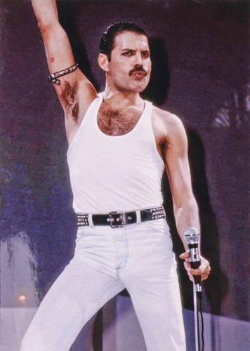 Lot 38 - Freddie Mercury (1946-1991) musician, a signed...