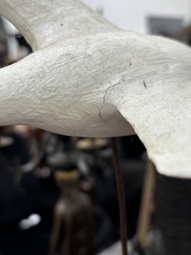 Lot 201 - Guy Taplin (b.1939), a pair of swans in...