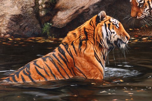 Lot 33 - Tony Karpinski (British, b.1965), Tigers,...