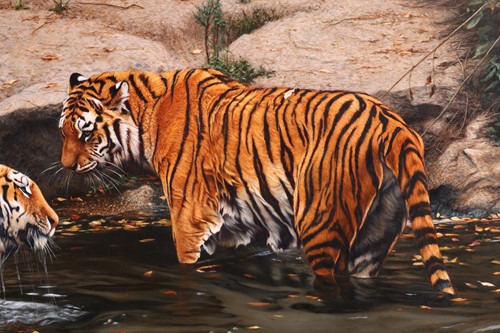 Lot 33 - Tony Karpinski (British, b.1965), Tigers,...