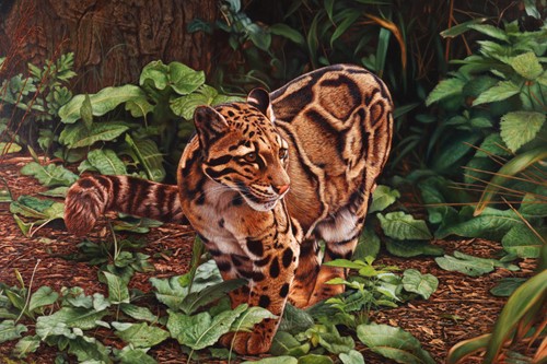 Lot 44 - Tony Karpinski (British, 1965), Clouded...