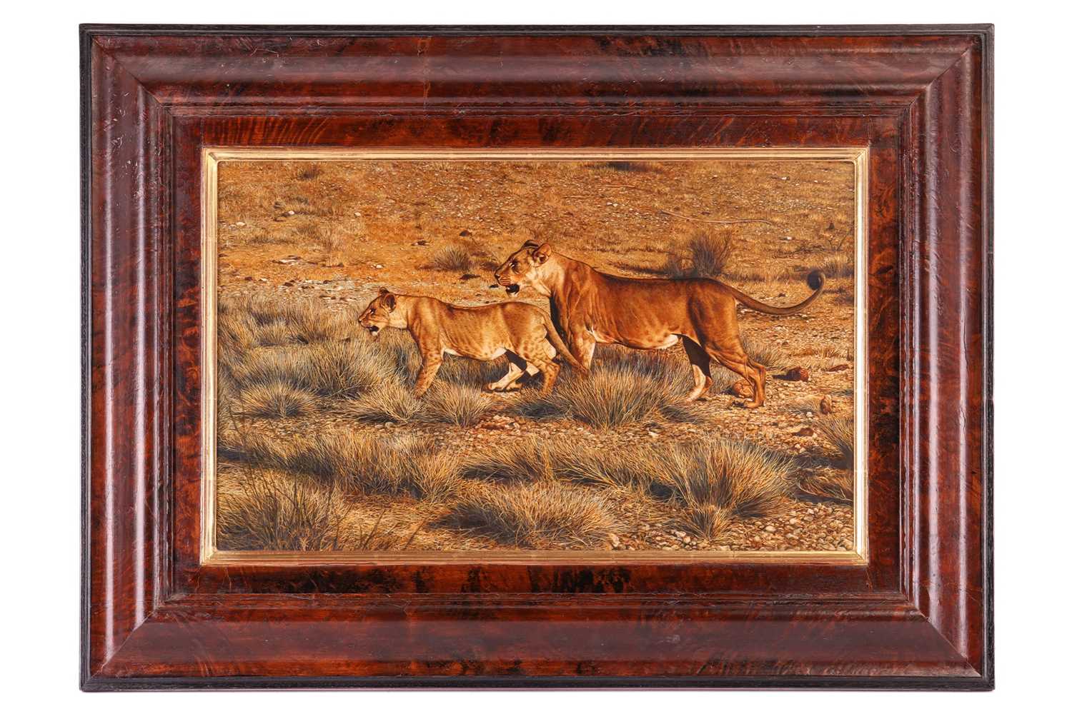 Lot 56 - Tony Karpinski (British, b.1965), Lioness and...