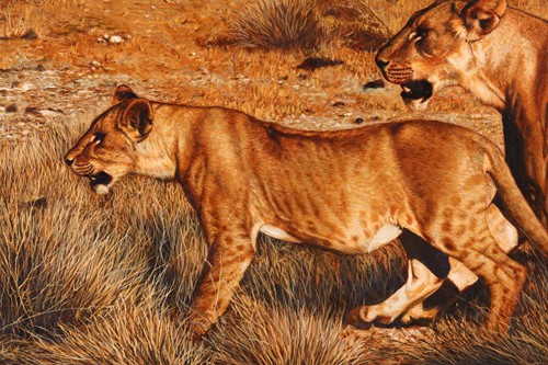 Lot 56 - Tony Karpinski (British, b.1965), Lioness and...