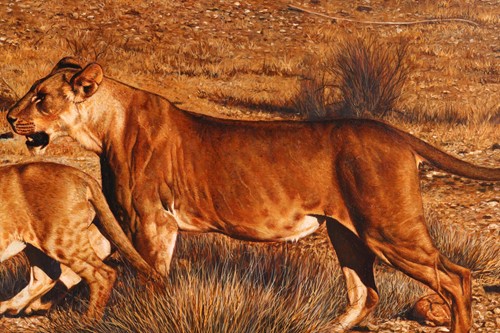 Lot 56 - Tony Karpinski (British, b.1965), Lioness and...