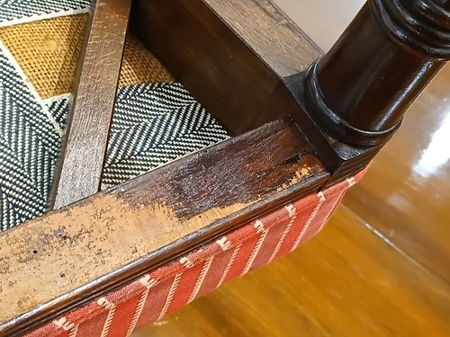 Lot 186 - A long set of fourteen Regency mahogany dining...