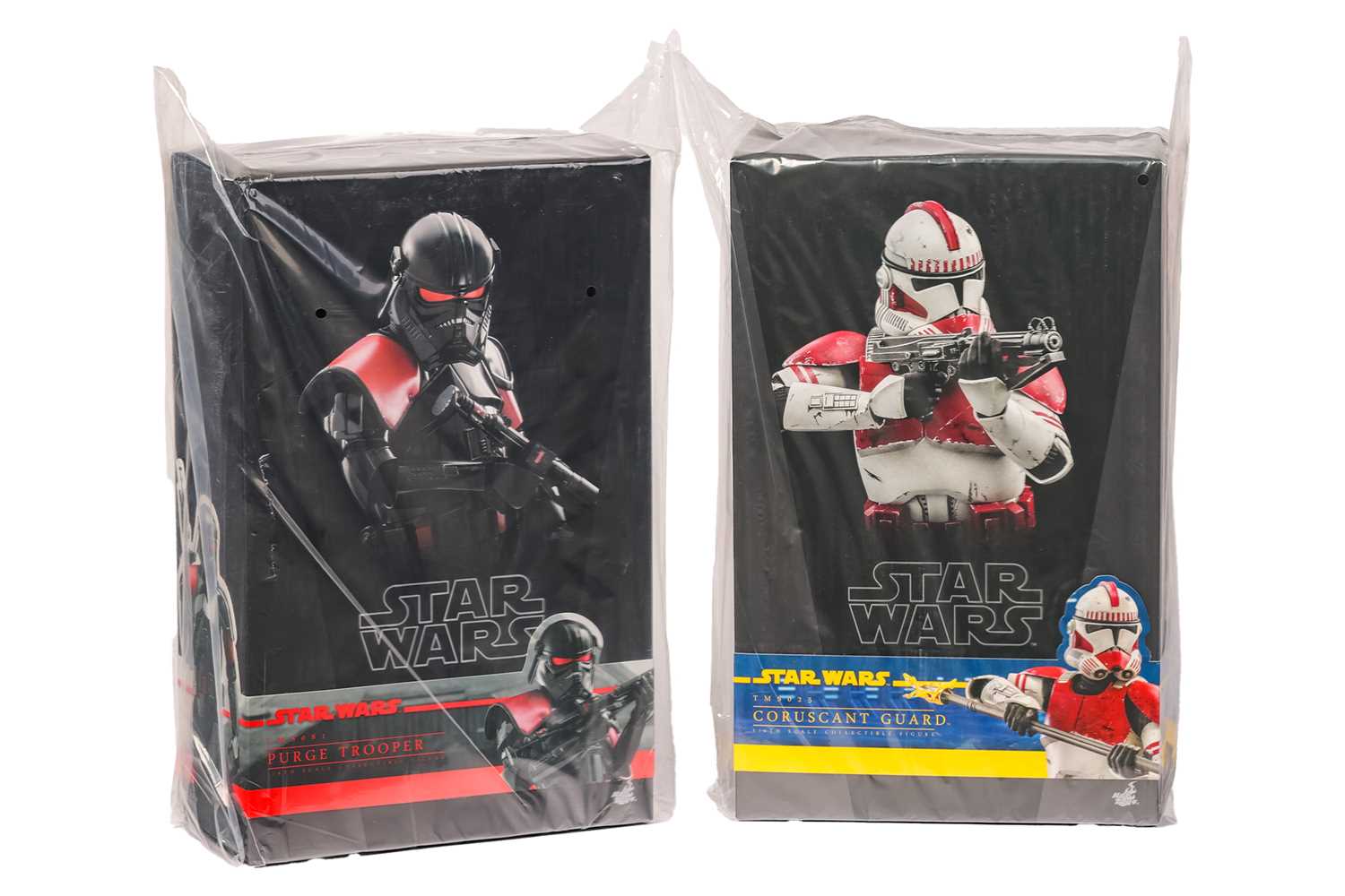 Lot 43 - A Star Wars Hot Toys Purge Trooper 1:6 Figure,...