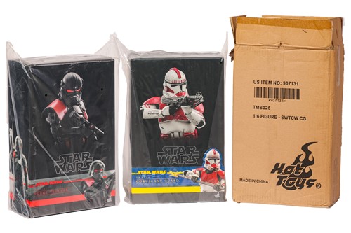 Lot 43 - A Star Wars Hot Toys Purge Trooper 1:6 Figure,...