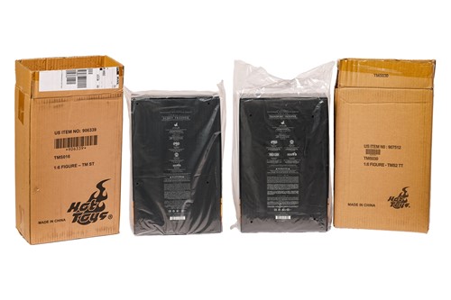 Lot 45 - A Star Wars Hot Toys Scout Trooper...