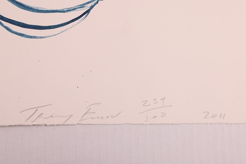 Lot 79 - Tracey Emin (British b.1963) Birds 2012 (2011)...