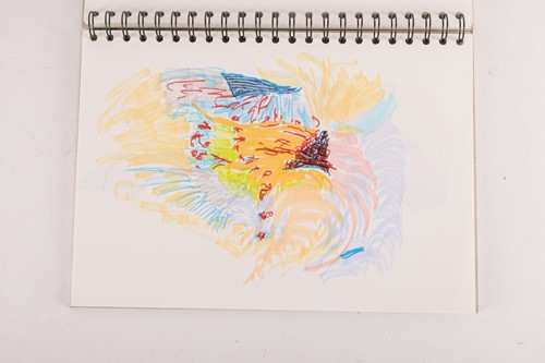 Lot 90 - Peter Green: A Selection of Sketchbooks...