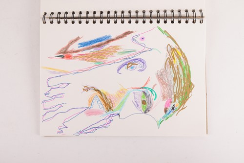 Lot 6 - Peter Green: A Selection of Sketchbooks...