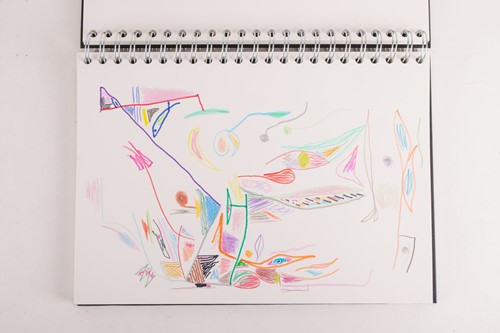 Lot 6 - Peter Green: A Selection of Sketchbooks...