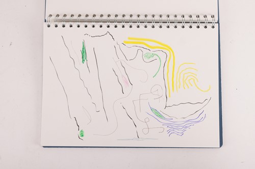 Lot 46 - Peter Green: A Selection of Sketchbooks...