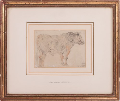 Lot 15 - William Huggins (British 1820-1884) Study of a...