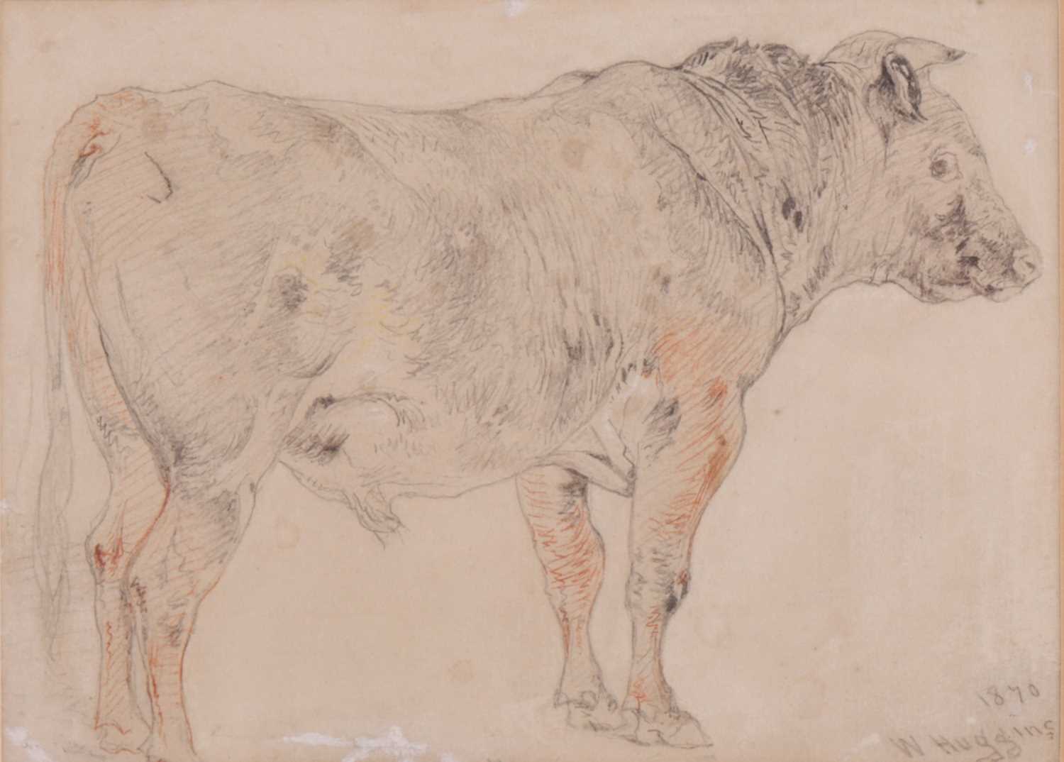 Lot 15 - William Huggins (British 1820-1884) Study of a...
