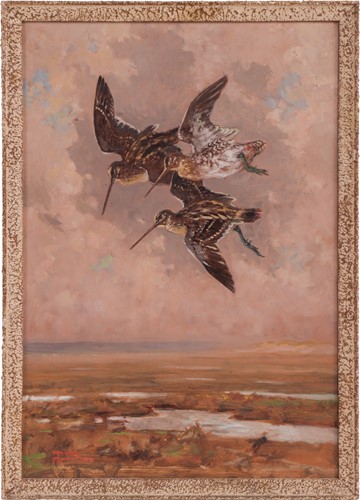 Lot 19 - Harry Rountree (British 1878-1950) Snipe in...