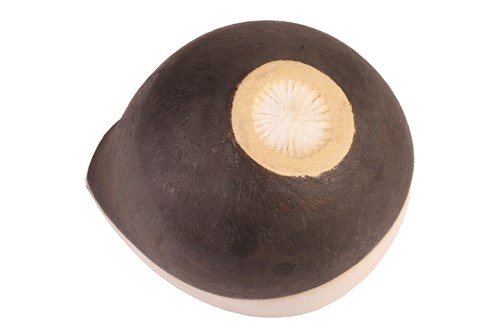Lot 2 - John Ward (1938-2003), a stoneware tailed vase,...