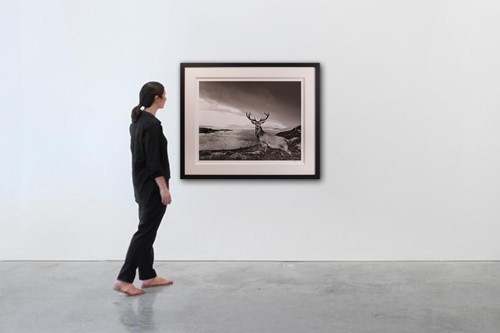 Lot 63 - David Yarrow (British b.1966) Over The Sea to...