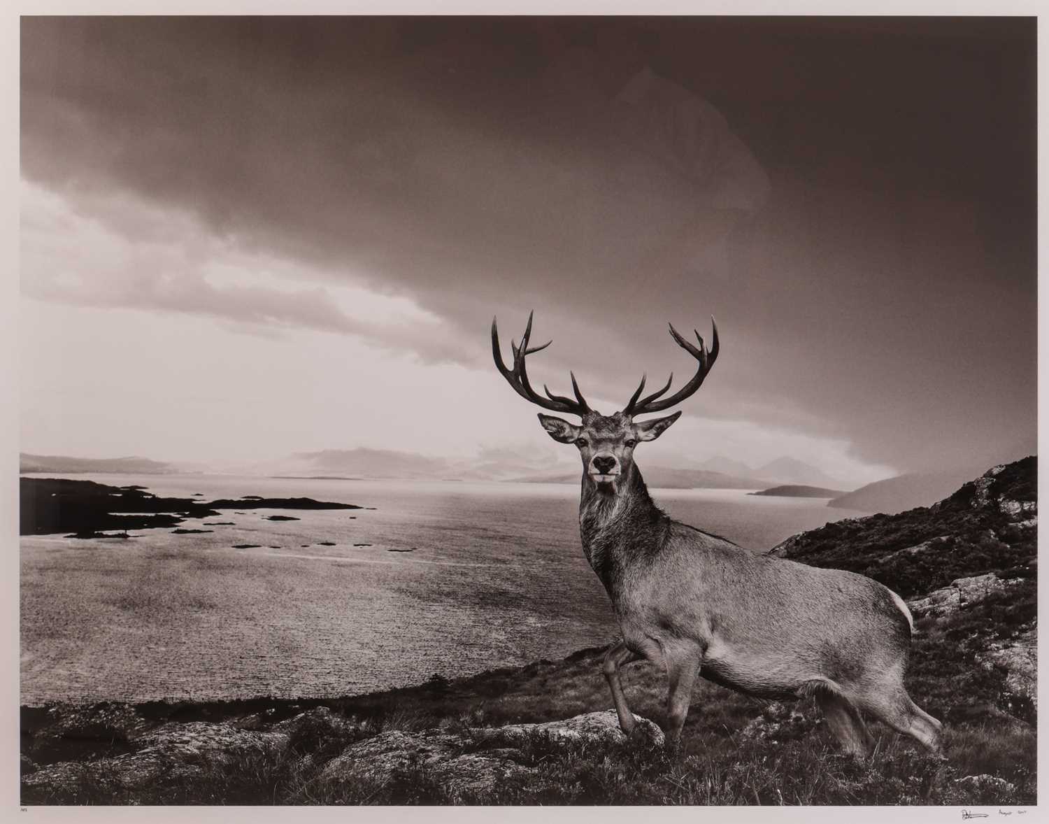 Lot 63 - David Yarrow (British b.1966) Over The Sea to...