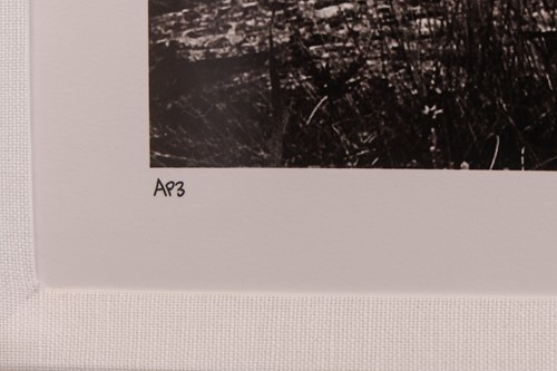 Lot 63 - David Yarrow (British b.1966) Over The Sea to...