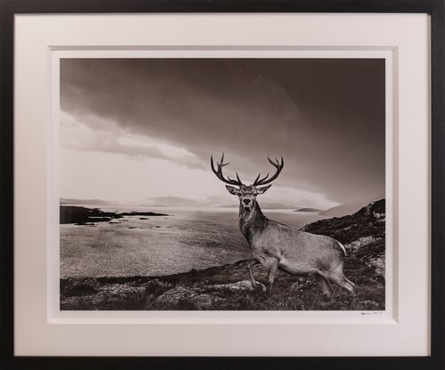 Lot 63 - David Yarrow (British b.1966) Over The Sea to...