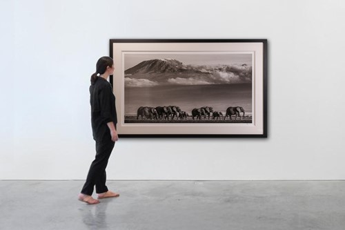 Lot 46 - David Yarrow (British b.1966) Walk the Line II...