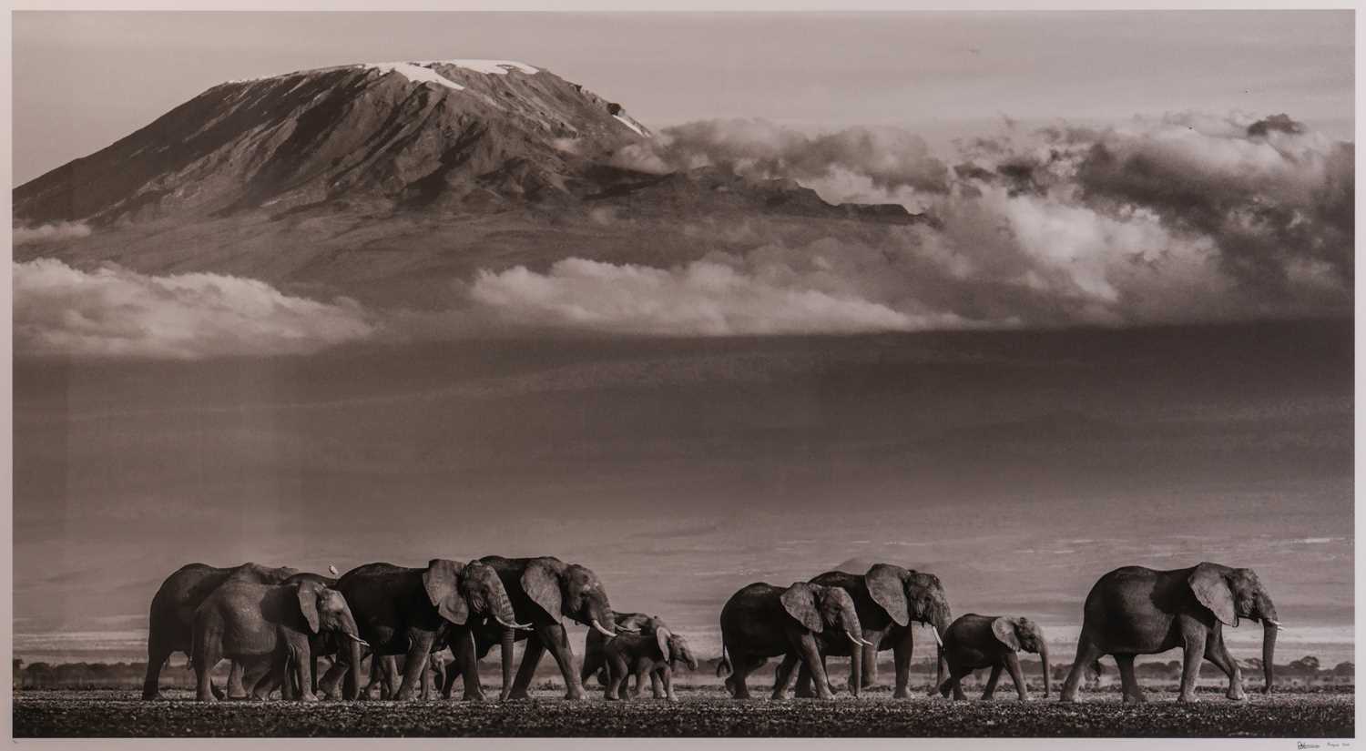 Lot 46 - David Yarrow (British b.1966) Walk the Line II...