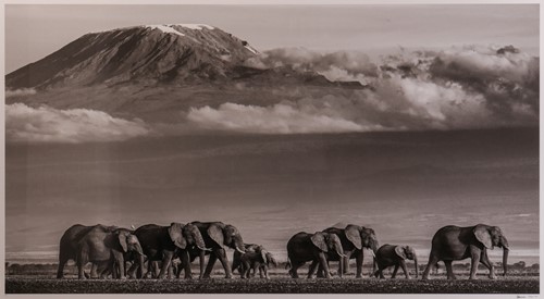 Lot 46 - David Yarrow (British b.1966) Walk the Line II...