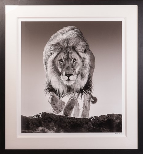 Lot 61 - David Yarrow (British b.1966) Genesis (2017)...