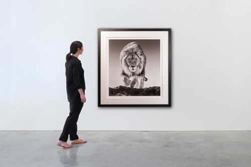 Lot 61 - David Yarrow (British b.1966) Genesis (2017)...